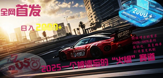 全网首发:2025一个被遗忘的“火爆”赛道轻松日入多张-创业资源:轻创终点站-刀客联盟