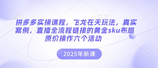 拼多多实操课程，飞龙在天玩法，真实案例，直播全流程链接的黄金sku布局原价操作六个活动-创业资源:轻创终点站-刀客联盟