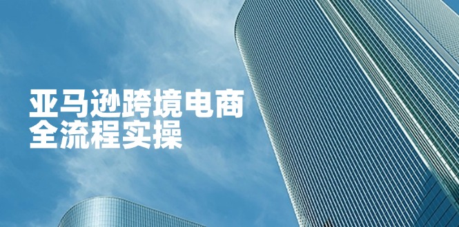 （14252期）亚马逊跨境电商全流程实操，教你从零开始，掌握店铺运营与广告技巧-创业资源:轻创终点站-刀客联盟