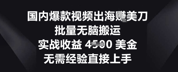 国内爆款视频出海挣美刀,批量无脑搬运,实战收益4.5k,无需经验直接上手-创业资源:轻创终点站-刀客联盟