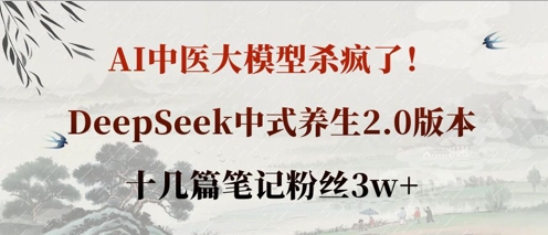 AI中医大模型杀疯了！DeepSeek中式养生2.0版本，十几篇笔记粉丝3w+-创业资源:轻创终点站-刀客联盟