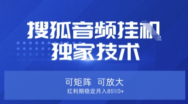 【搜狐音频挂G】独家技术，可矩阵可放大，红利期稳定月入8k【揭秘】-创业资源:轻创终点站-刀客联盟