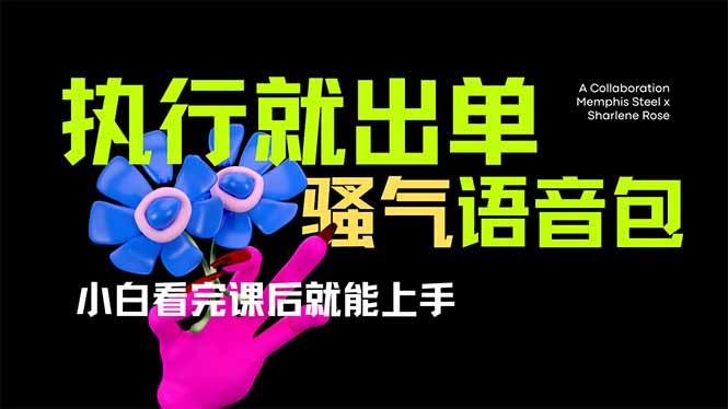 (14170期)爆火全网的开车导航骚气语音包,只要执行就出单,小白看完课程就能实操...-创业资源:轻创终点站-刀客联盟